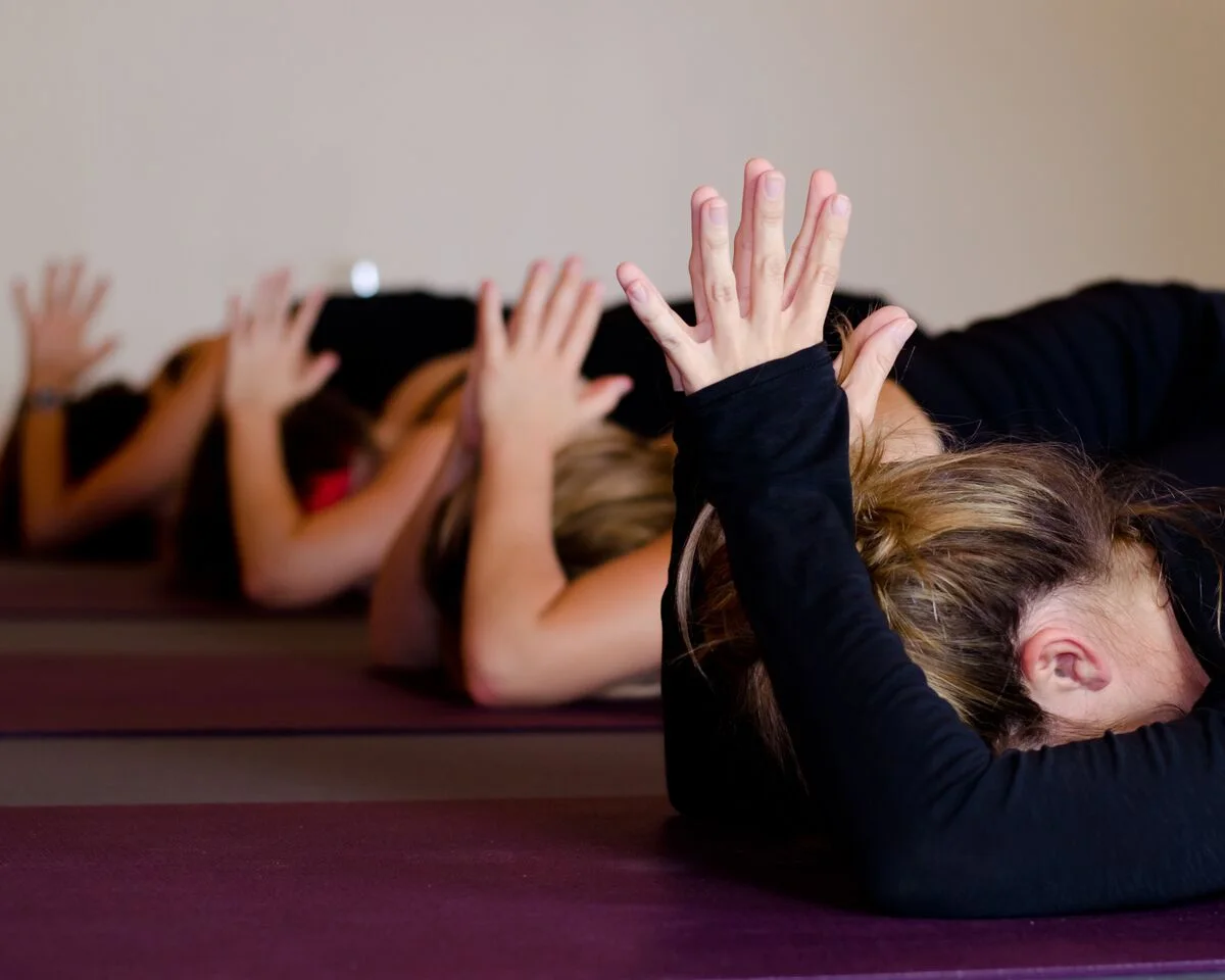 FlyDog Yoga, business photo 4