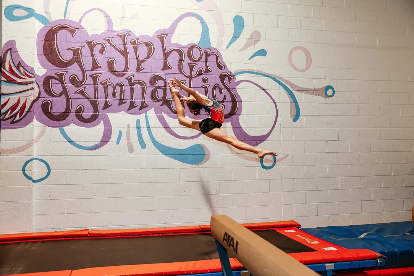 Gryphon Gymnastics business photo