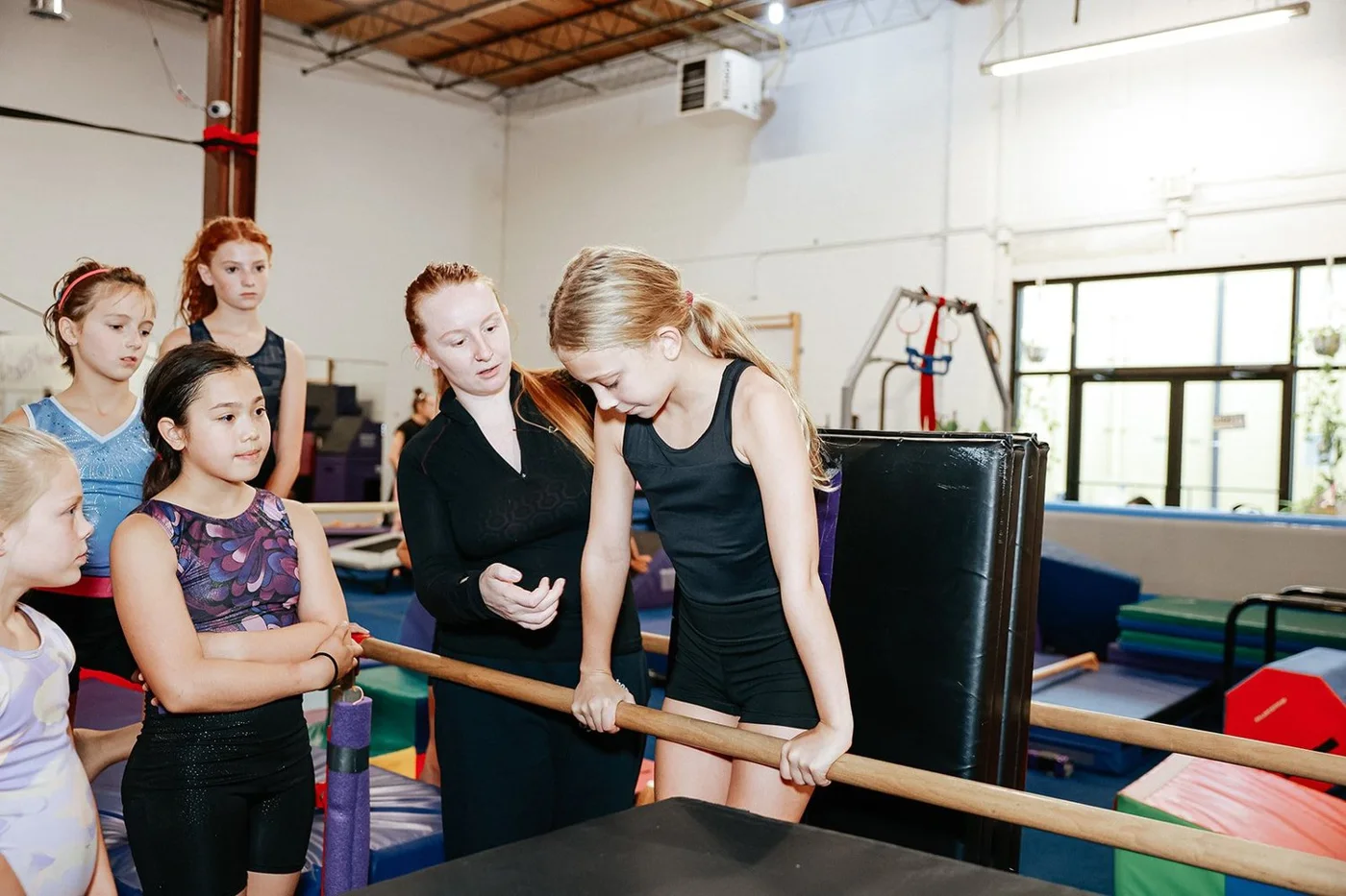 Gryphon Gymnastics, business photo 3