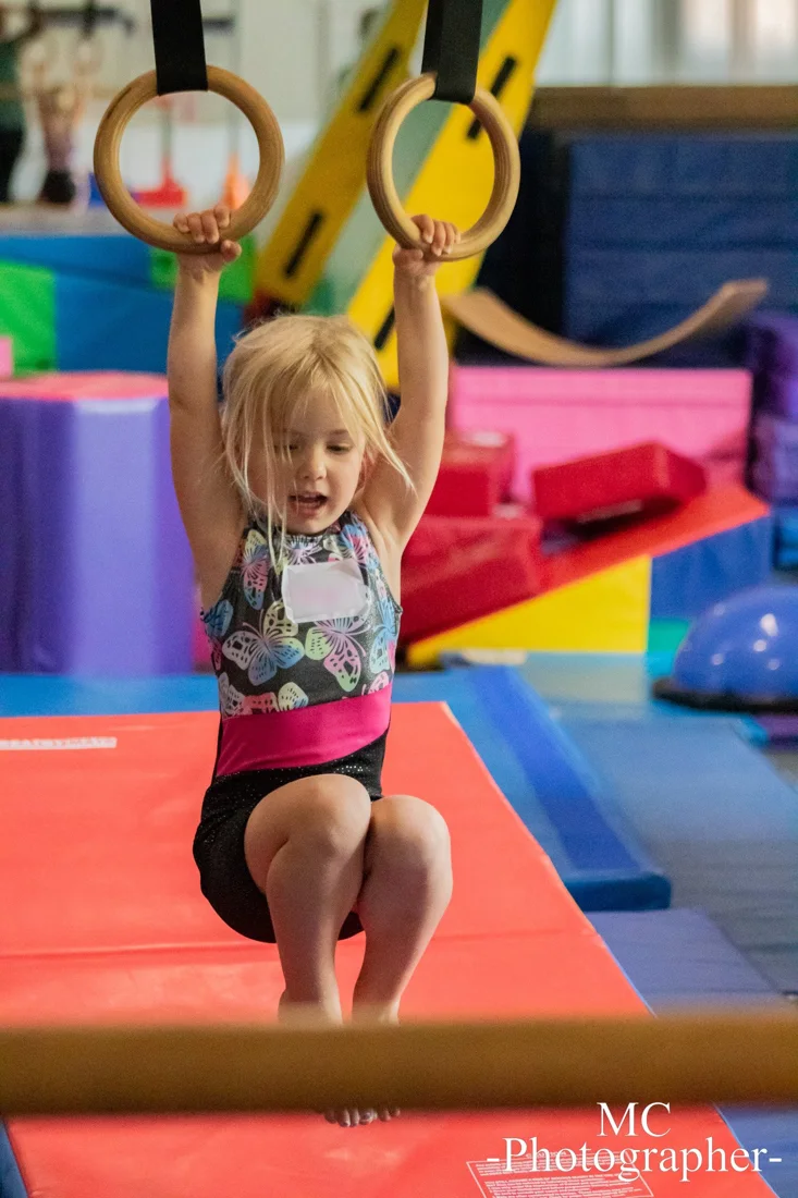 Gryphon Gymnastics, business photo 2
