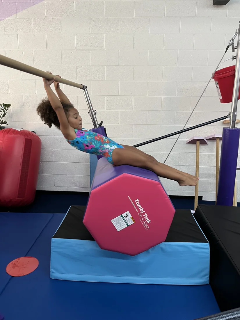 Gryphon Gymnastics, business photo 4
