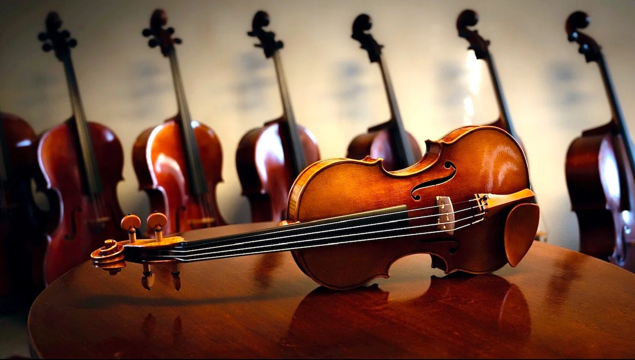Vacanti Violins business photo