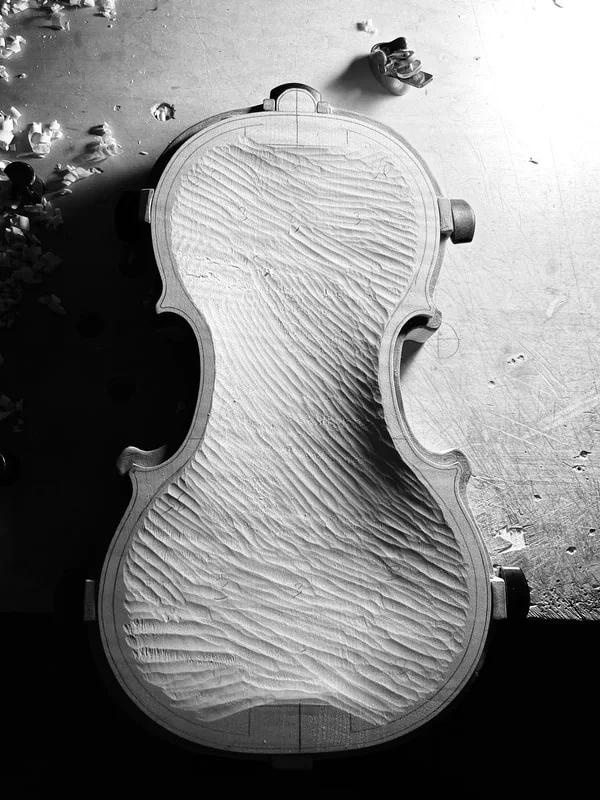 Vacanti Violins, business photo 4